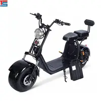

2020 EEC New big wheel citycoco electric scooter motor