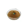 Bulk Supply Organic Maca Root Extract Powder