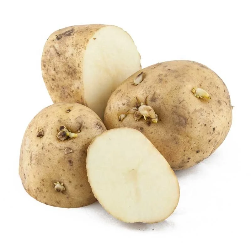 
Mexico Grown POTATO WHITE Fresh Potatoes Robinson Fresh MOQ 50 LBS Quick Delivery in US 