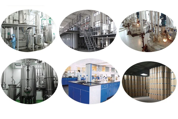 Premium quality 10% total flavone, lophatherum extract
