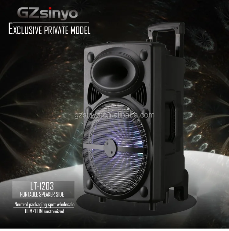 laser 12 inch party speaker