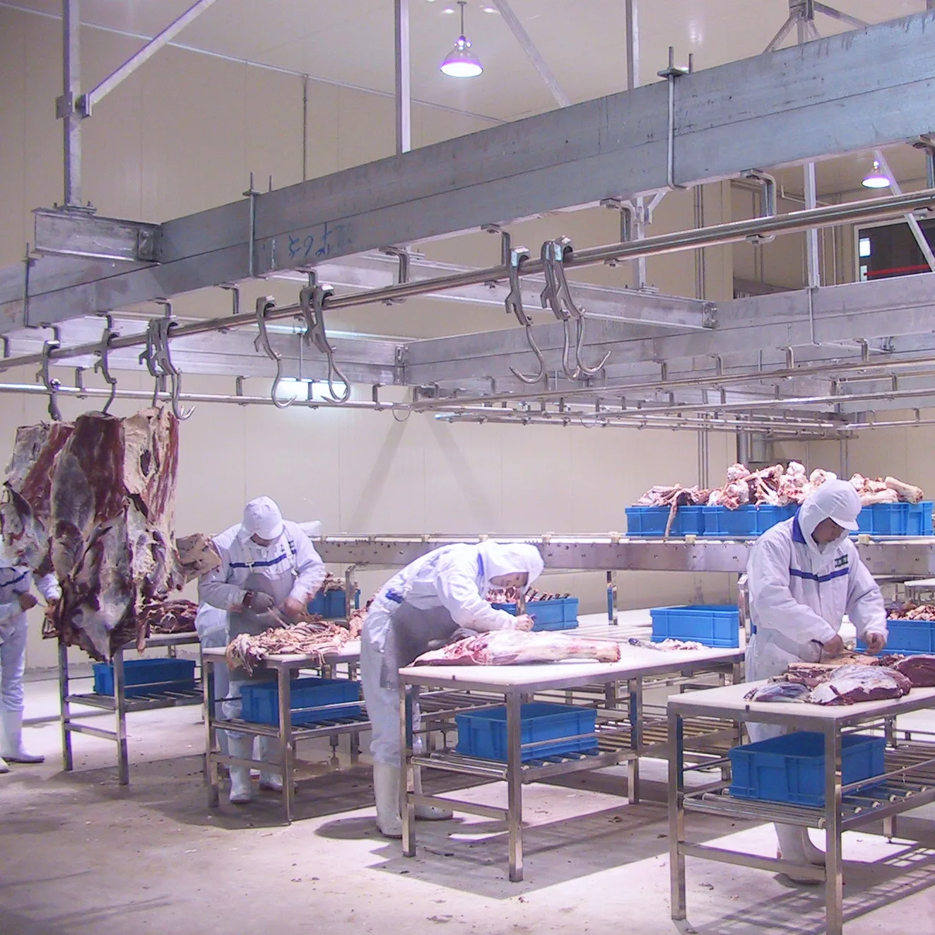 ritual_cattle_slaughterhouse_equipment_for_cow_halal_turnkey_slaughtering_abattoir_plant