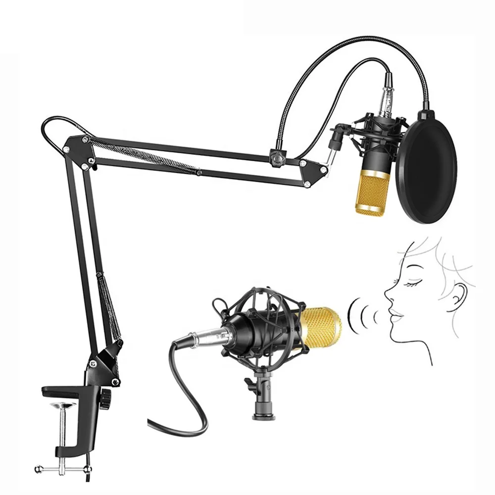 

BM 800 Mic with Shock Mount Arm Scissor Stand Filter Studio Condenser Microphone, Black/silver/custom