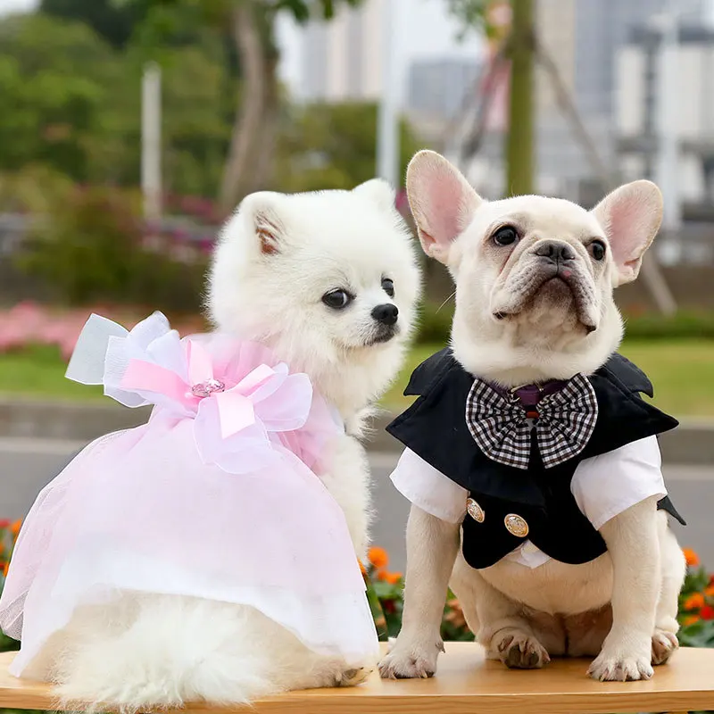 

Pink Couple Boy Girl Dog Tutu Birthday Party Lace Harness Dress White High End Dog Wedding Dress For Party