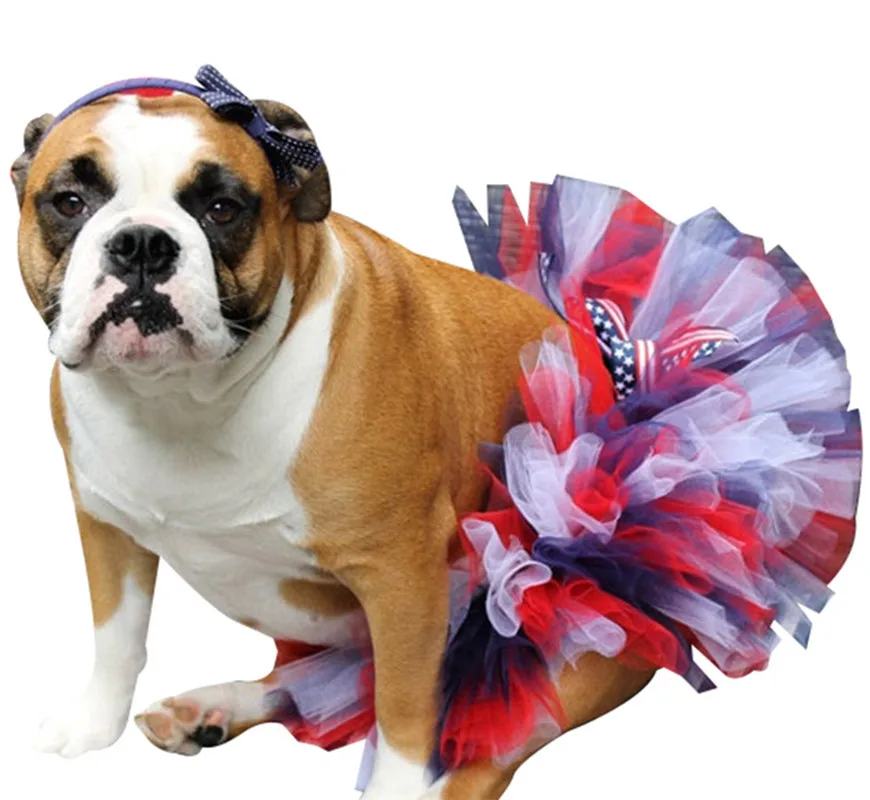 

Pet supplies Pet Birthday TutuDog birthday clothing pet cat clothes