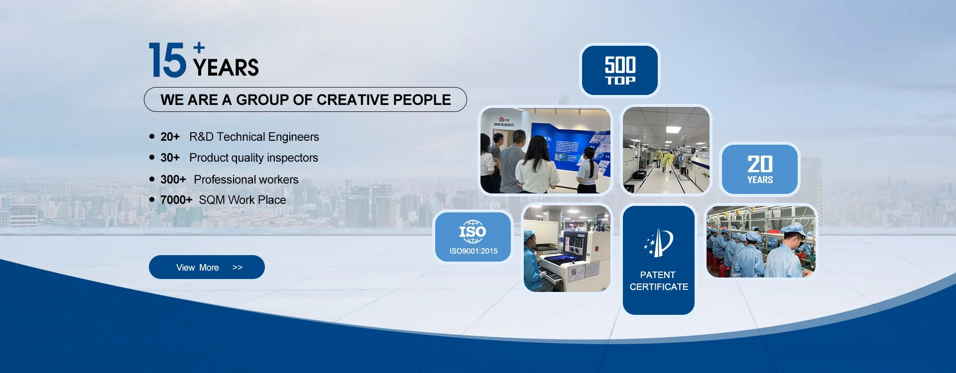 Shenzhen Wellturn Technology Co., Ltd. Remote Dog Training Collar/Dog