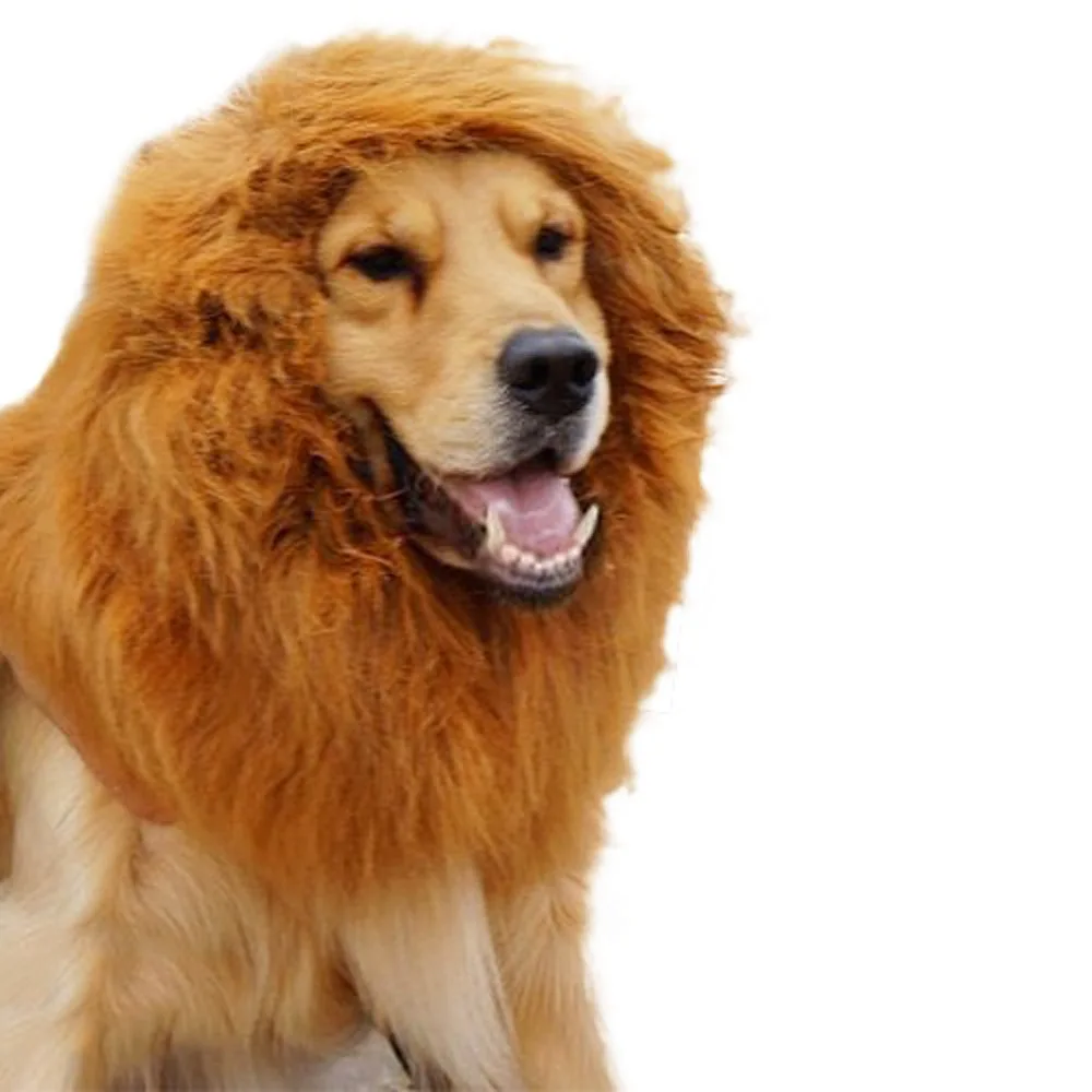 

Pet Dog Lion Mane Wig Hair Decoration Dog Costume Dog Cosplay Party Festival Funny Hat Pet Apparel With Tail, As picture