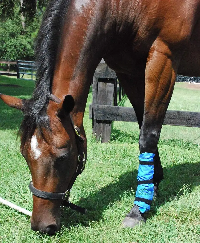 
Techcool Summer Evaporative Cooling PVA Cooling Horse Boots 