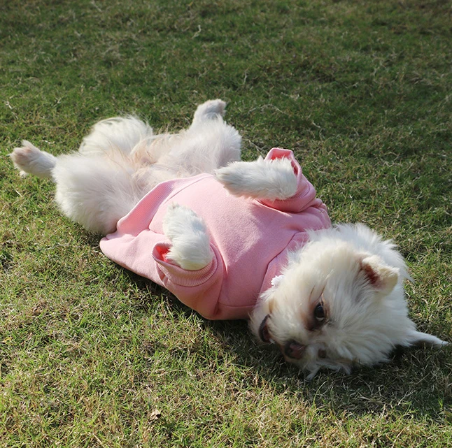 

High Quality Cute Pink Red Pet Clothes Dog Cat Sport Sweater Soft Plain Pet Hoodies For Outdoor Training, Red,pink,black, blue,gray,rose red,green,purple,brown,white