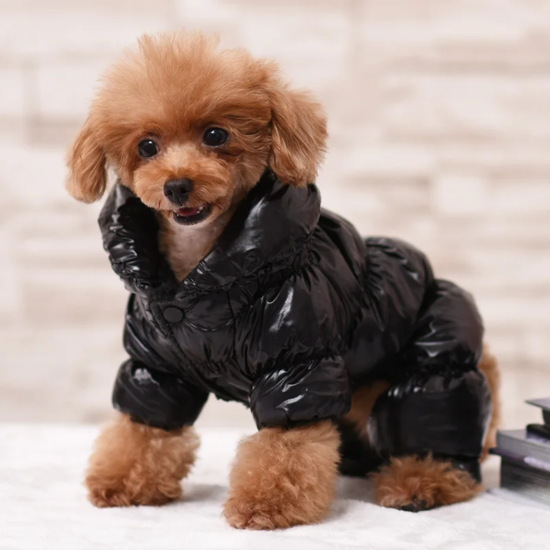 

Fashion Solid Color Winter High Collar Padded Pet Down Jackets Dog Clothes