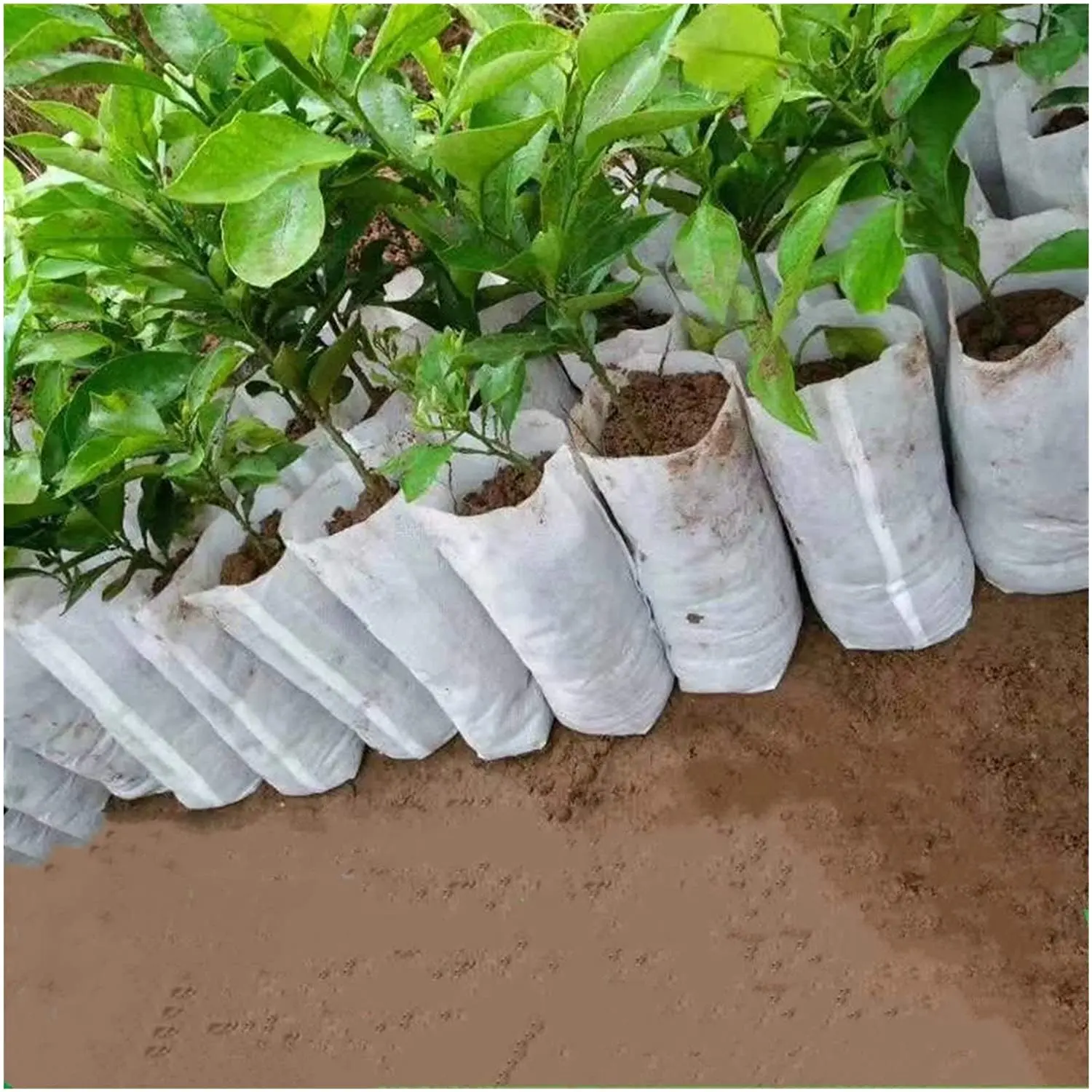 

100Pcs/bag Biodegradable Non-Woven Nursery Bag Plant Grow Seed Seedling Pots New, White