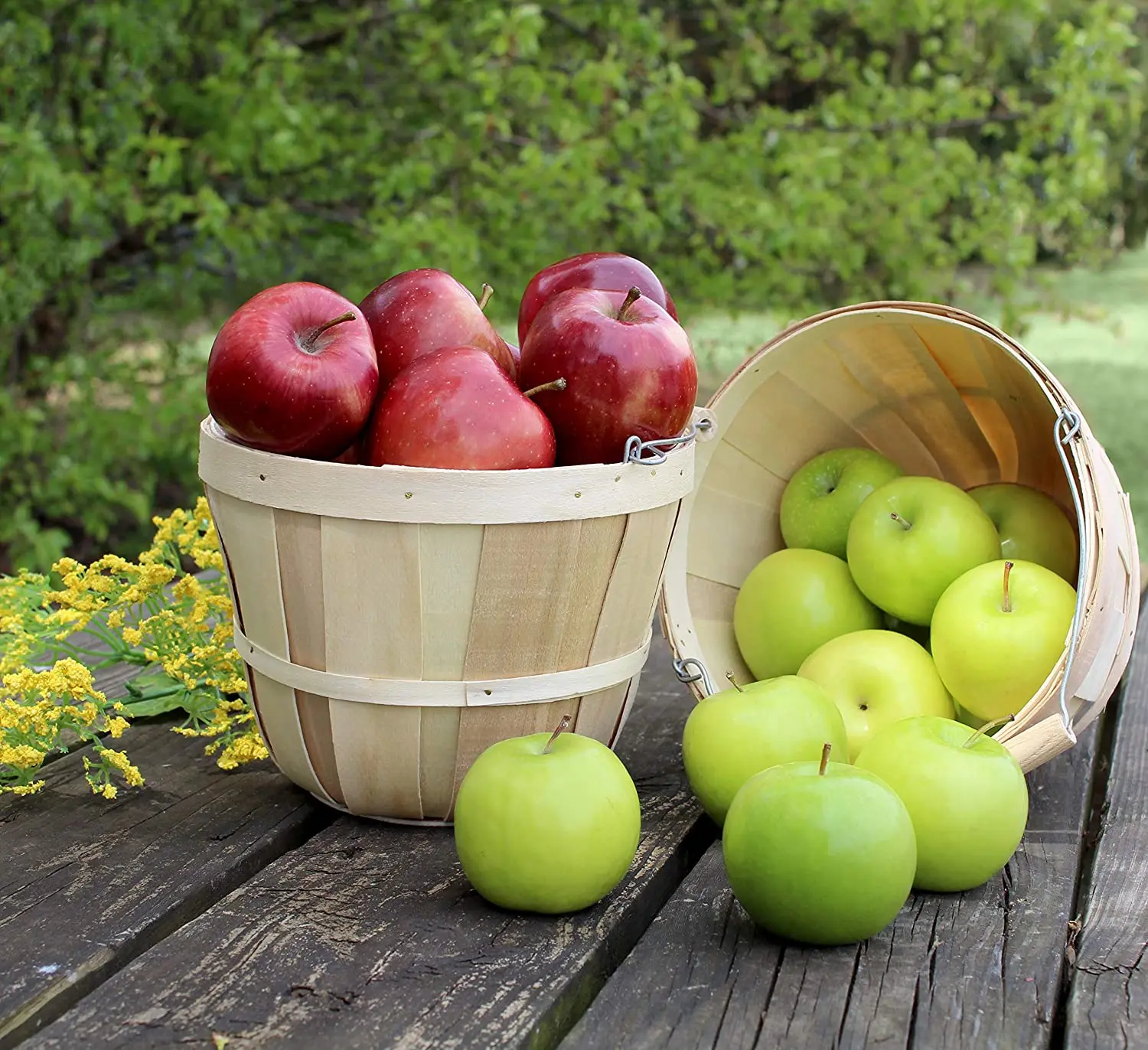 Round Wooden 3/4 Peck Basket Garden,Farm,Fruit,Vegetable Picking ...