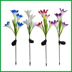 Christmas Lights.jpg