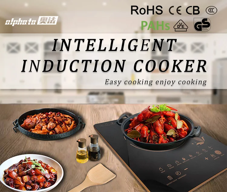 Home Kitchen Appliance Small Electric Chulha Induction Stoves Portable