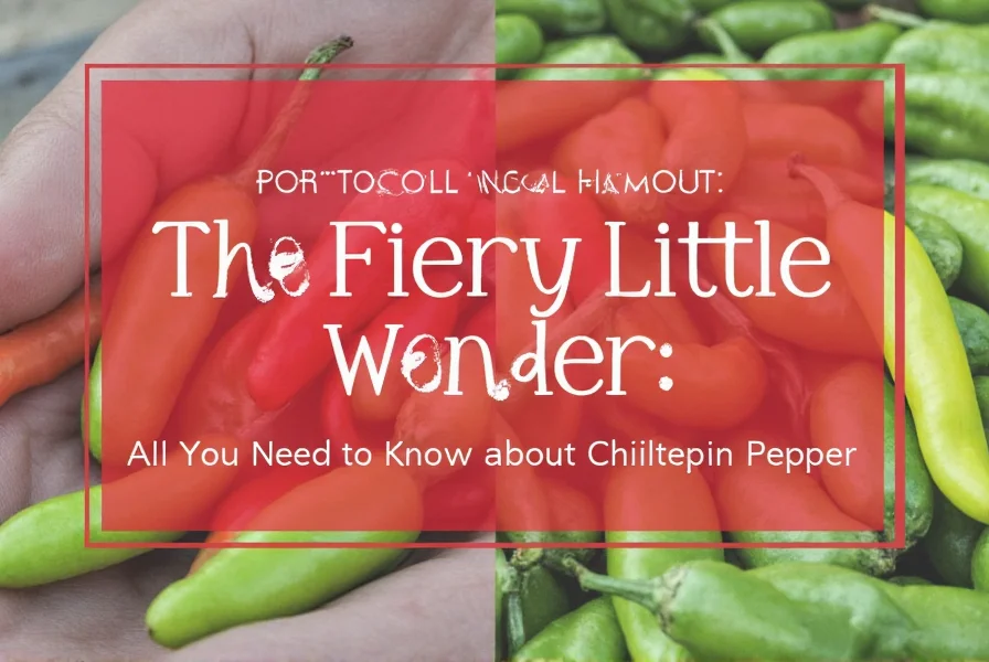Chiltepin vs Jalapeño Comparison