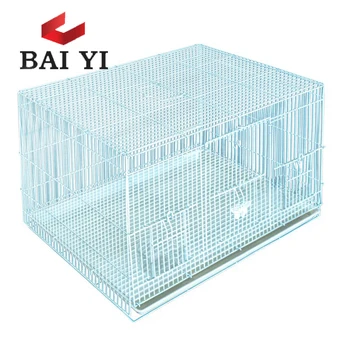 24x24 bird cage