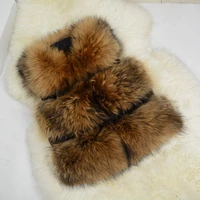 

2019 Five Colors Real Fur Vest Women Genuine Raccoon Fur Gilet Waistcoat Winter New Fashion 3 Rows Vest