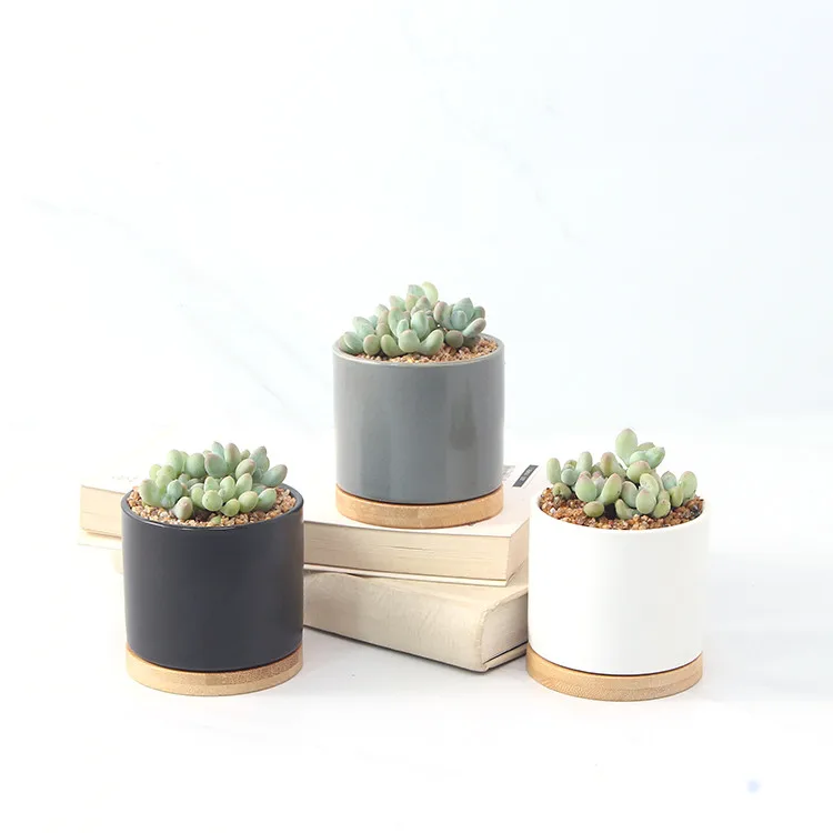 

Succulent Pots White/Black /grey Mini Ceramic Flower Planter Pot with Bamboo Tray