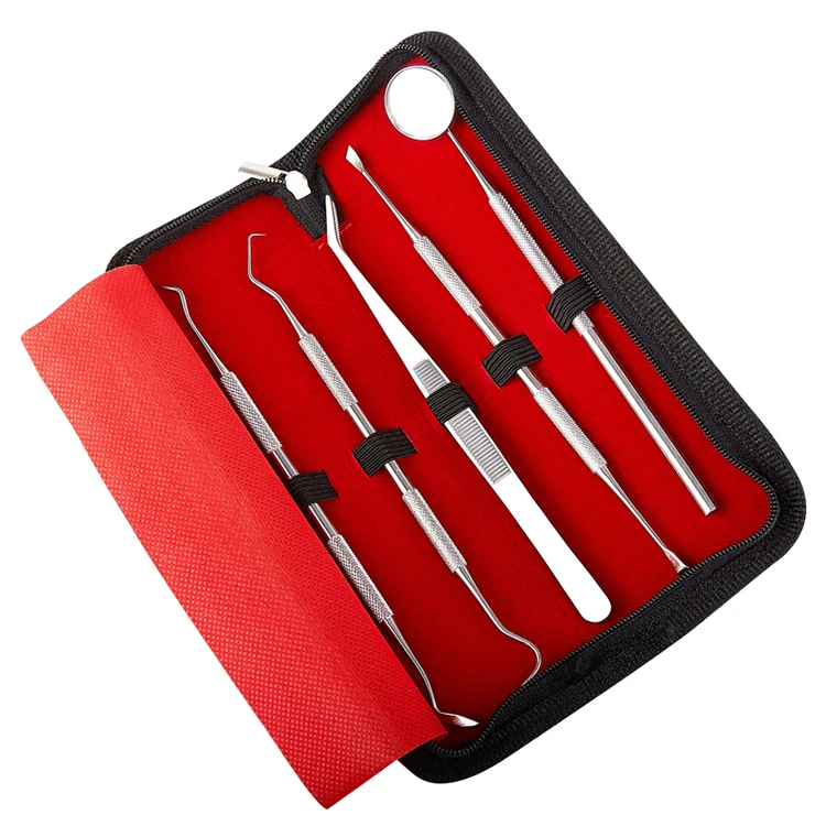 

Stainless Steel Dental Hygiene Kit 5pcs dental instruments for oral care