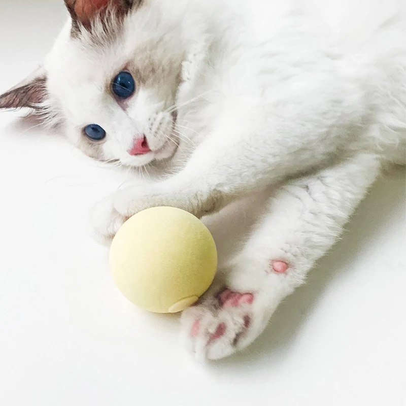 

The Self-Hey Cat Toy Ball That Pets Barking Calling Interactive Ball Will Make Sound Funny Cat Stick Catnip Gravity, Picture showed