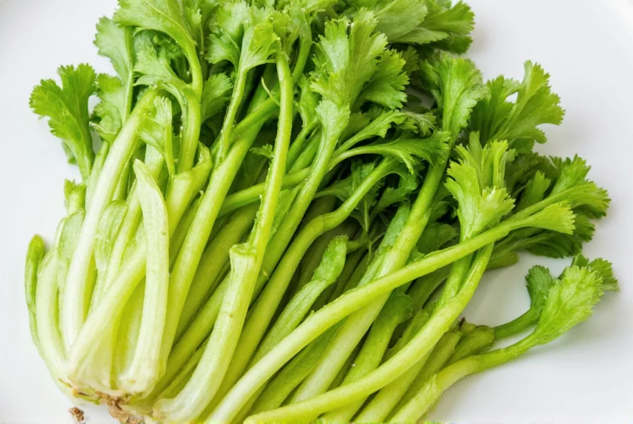 Celery Seed Benefits: Science-Backed Health Uses