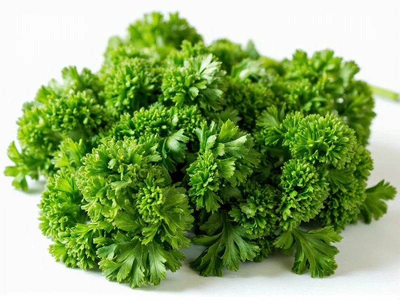 Dried to Fresh Parsley Ratio: 1:3 Conversion Guide