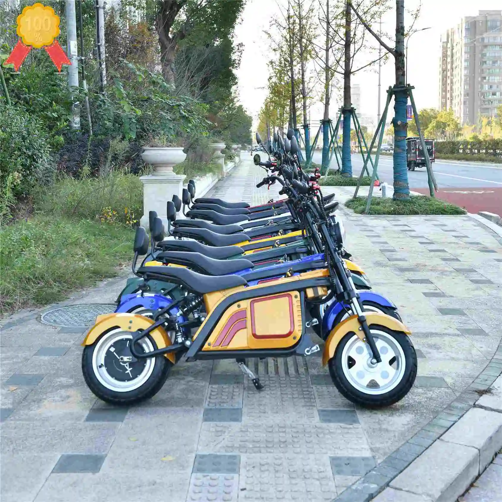 

EU Warehouse Eec 700W 800W Adult 2 Wheel Older Electric Handicapped Mobility Scooter