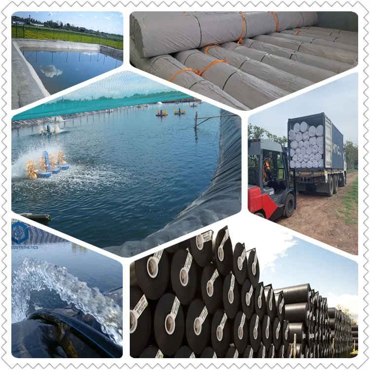 HDPE LDPE LLDPE PVC Material Geomembrane