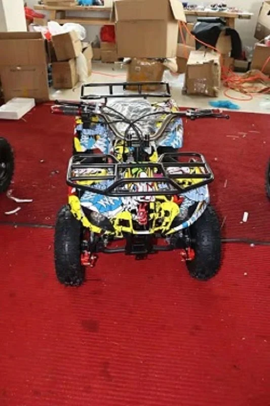 
2020 New Type Adults Off Road Mini Quad Electric ATV 36V 