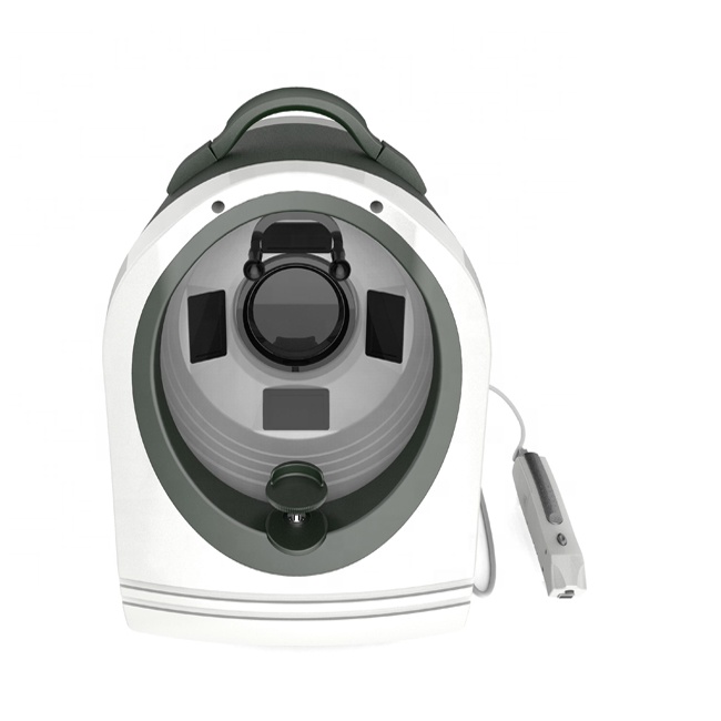 

Portable 3D Facial Skin Analyzer Feature Scanner Analyzer Skin Diagnostic Machine