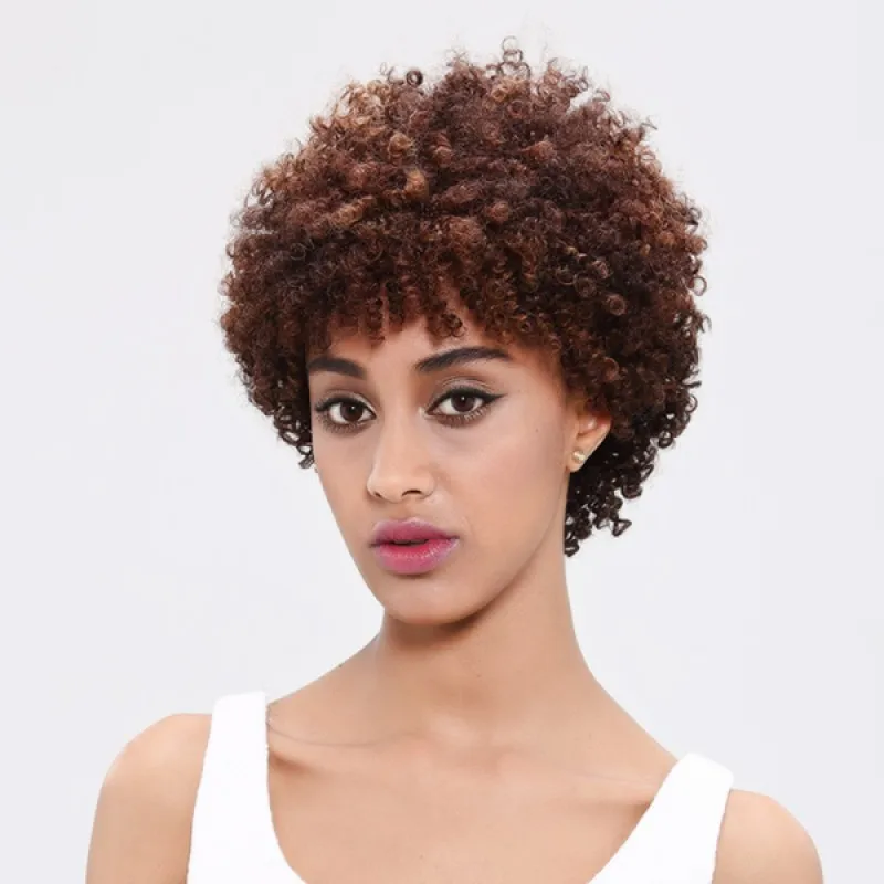 

Sleek Wholesale Human Hair Wig Brazilian Afro Kinky Curly Wigs For Black Women Non Lace Front Human Hair Wigs Perruque Cheveux, Picture color