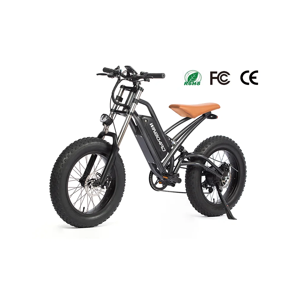 

Premium Oem Factory Steel Frame Fast Speed 20 Inch 13ah Adult Mountain 500w 1000w Fat Tire Electric Bike Road Bicycle, Black
