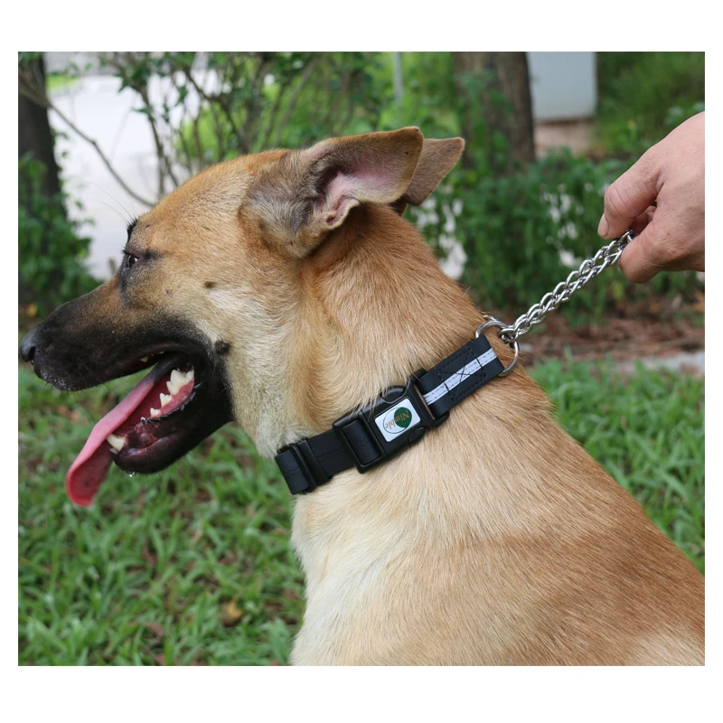 Waterproof Reflective Training Collar for Large Medium Dogs NIMBLE Stainless Steel Chain Martingale Collar 