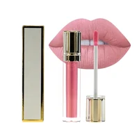 

Makeup suppliers china private label waterproof long lasting liquid matte lipstick