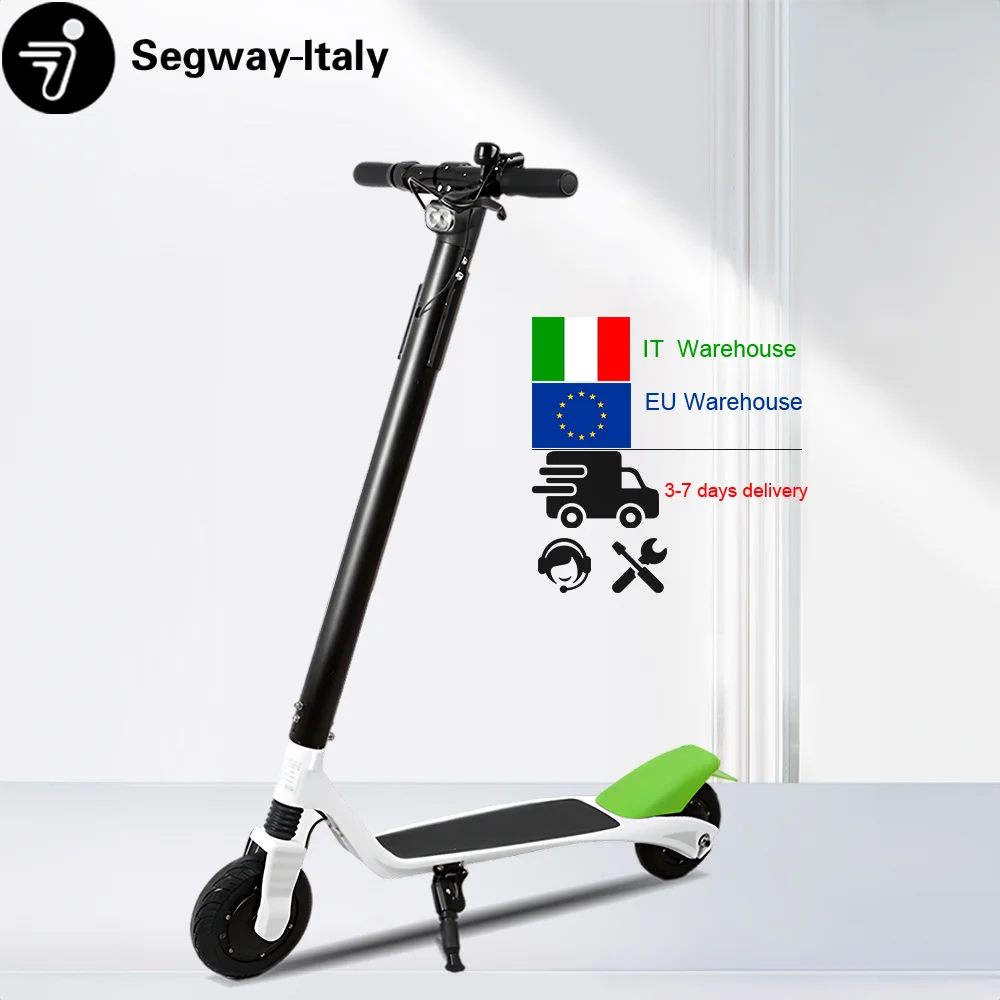 

2 wheel stand up electric scooter waterproof high speed two wheel electric scooter 250w 36v electric scooters free shipping