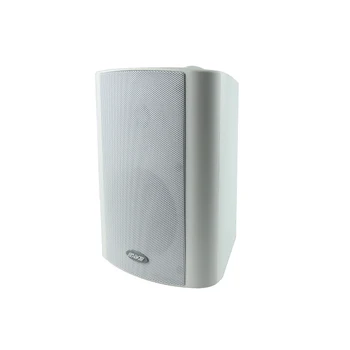 wall mounted speaker system