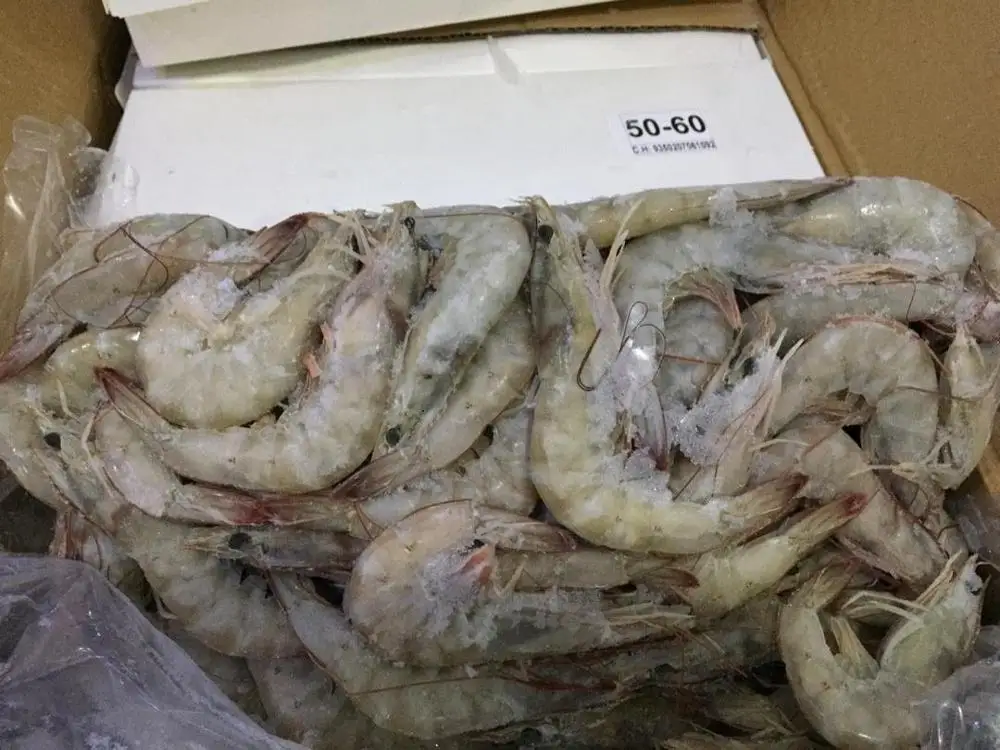 
Frozen shrimp 