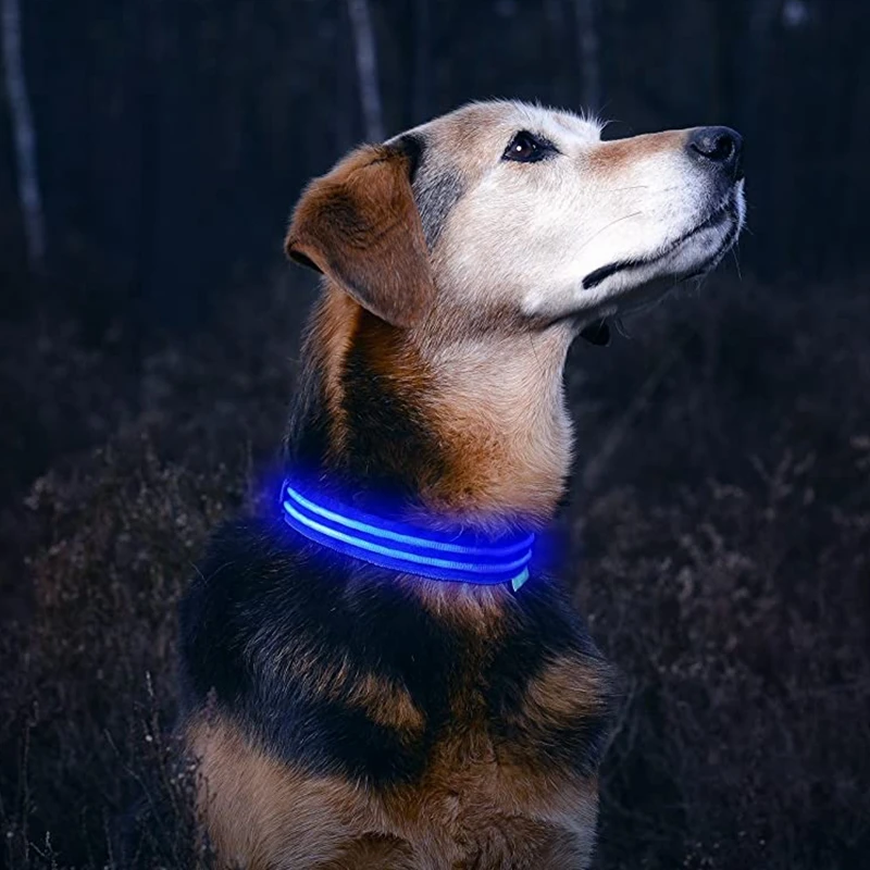 

Nylon LED Pet Dog Collar Night Safty Flashing Collares Led Perros Dogs Luminous Fluorescent Glow Necklace LED Dog Collar, Multicolor