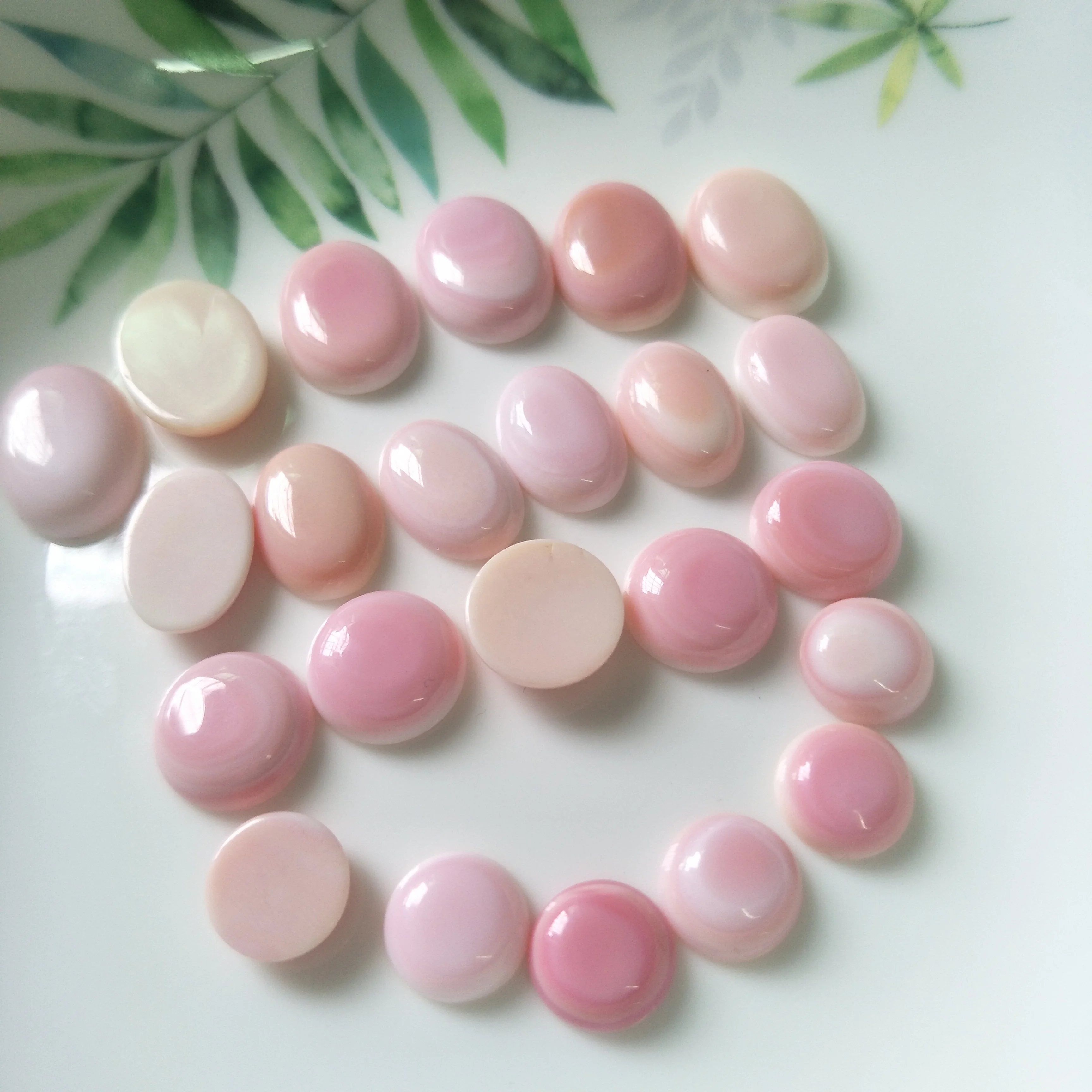 

Wholesale custom jewelry diy accessory natural pink conch cut polish Cabochon beads