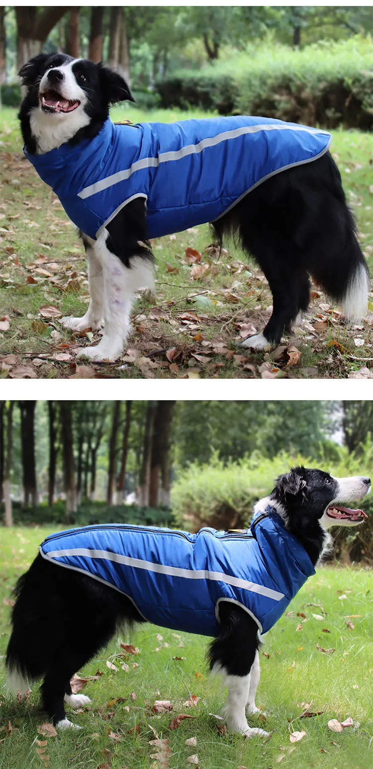 En gros en Plein Air Bande Personnalisée Pour Animaux De Compagnie Chien Manteau Réfléchissant Imperméable À L'eau Hiver Chaud Chien Vêtements de Veste