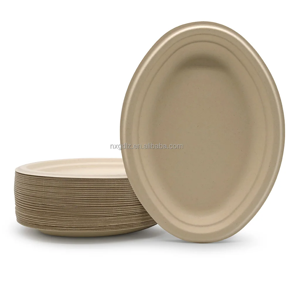 

Microwavable Greaseproof Eco Friendly Bagasse or Bamboo Fiber Biodegradable Disposable Paper Plates for Party or Wedding, Natural or white