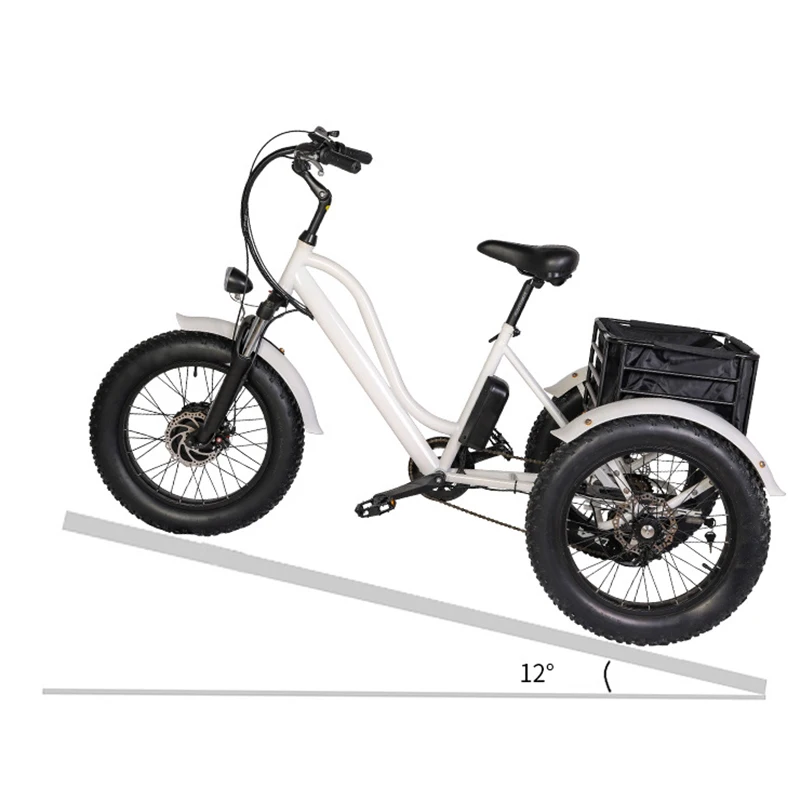 

Lithium Battery Powered Three 3 Wheel Fat Tire Cargo Trike Electric Tricycles