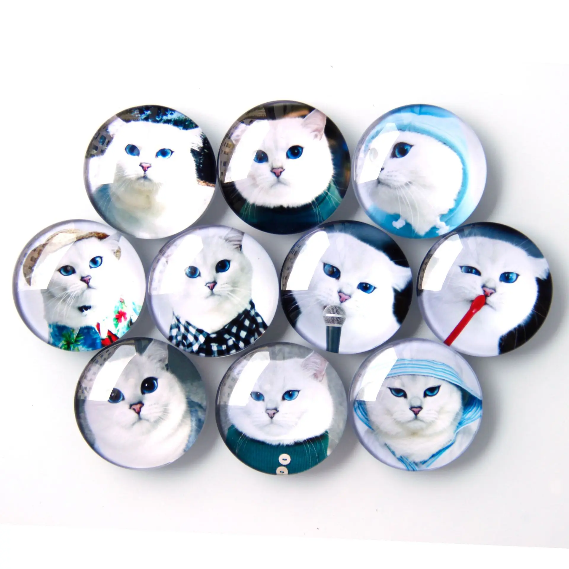 

New Designed Round Shape Magnet Animal Magnetic Refrigerator Magnet, Multi color