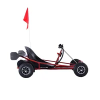 

Hot sale cheap adult 1000w 48v electric go kart