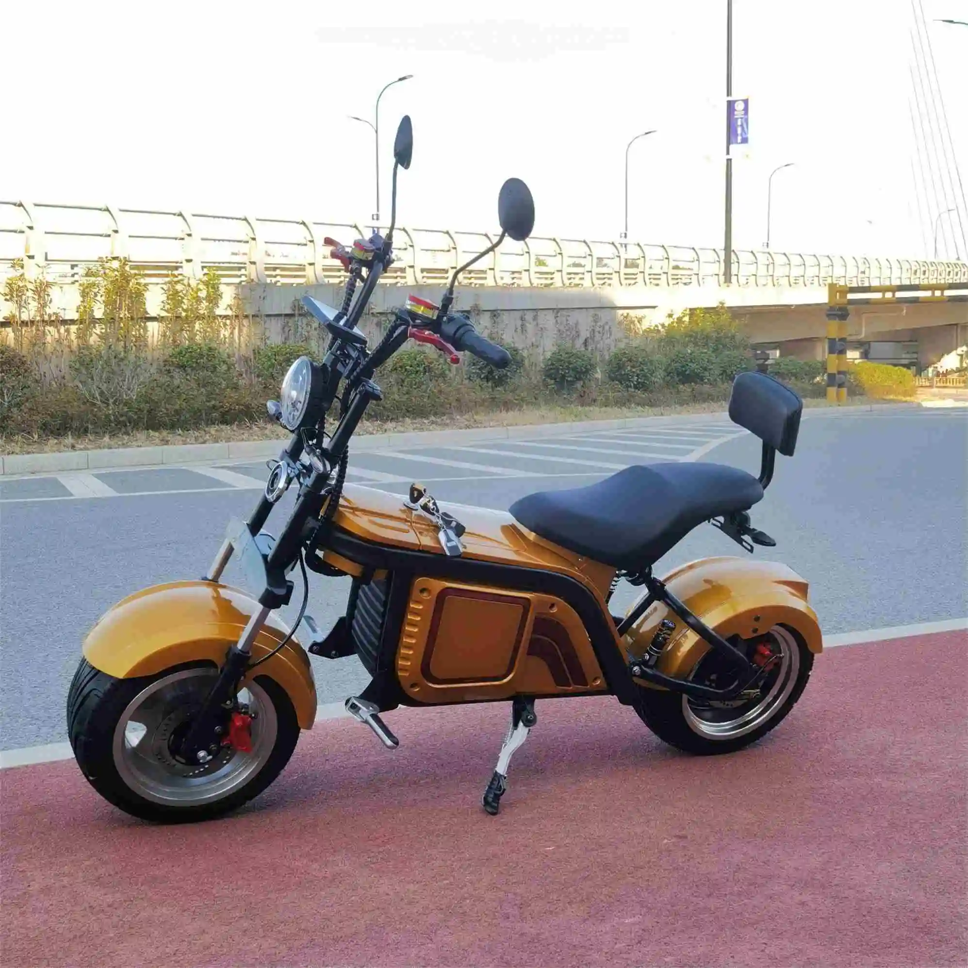 

Hign Configuration For Adults China Manufacture Direct Sale Citycoco E-Scooter EEC/COC Motor-Like Wild Race
