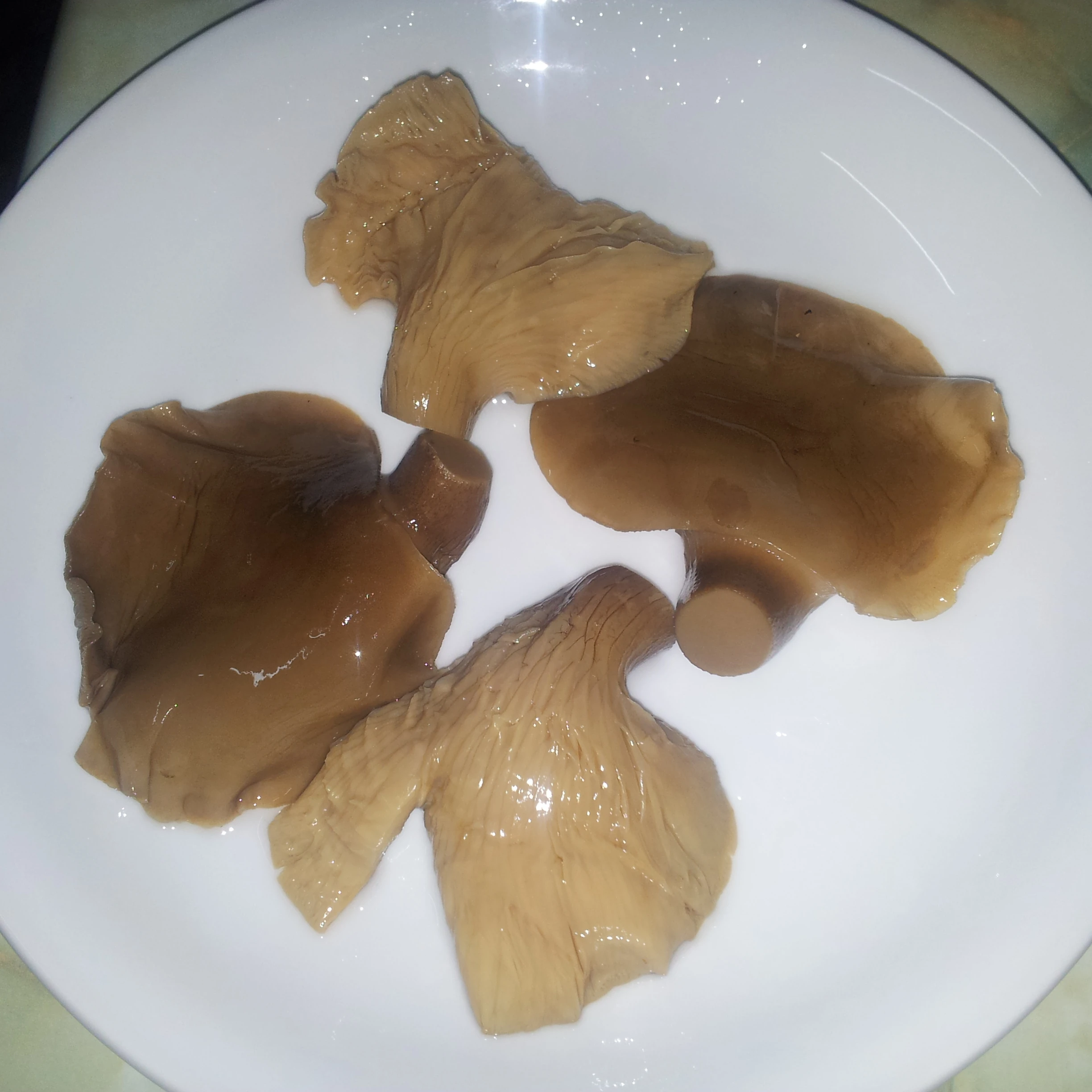 
Abalone Mushroom in Can in Brine  (60599400702)