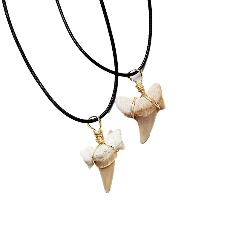 

Natural Shark Tooth Pendant for Collections Jewelry Making Necklace Gift Personality Pendant, Picture shows