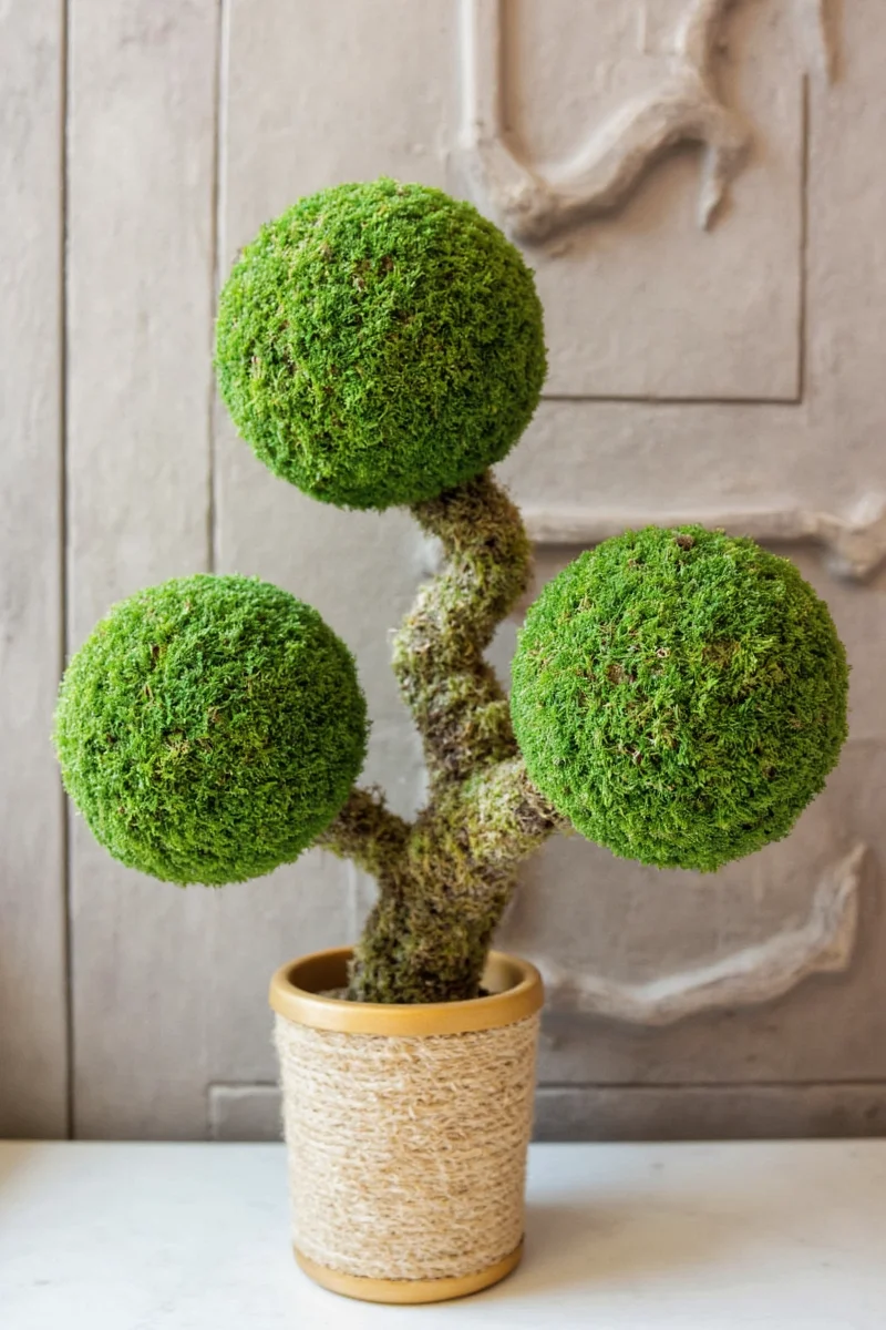 MyMossLetter Personalized Moss Alphabet