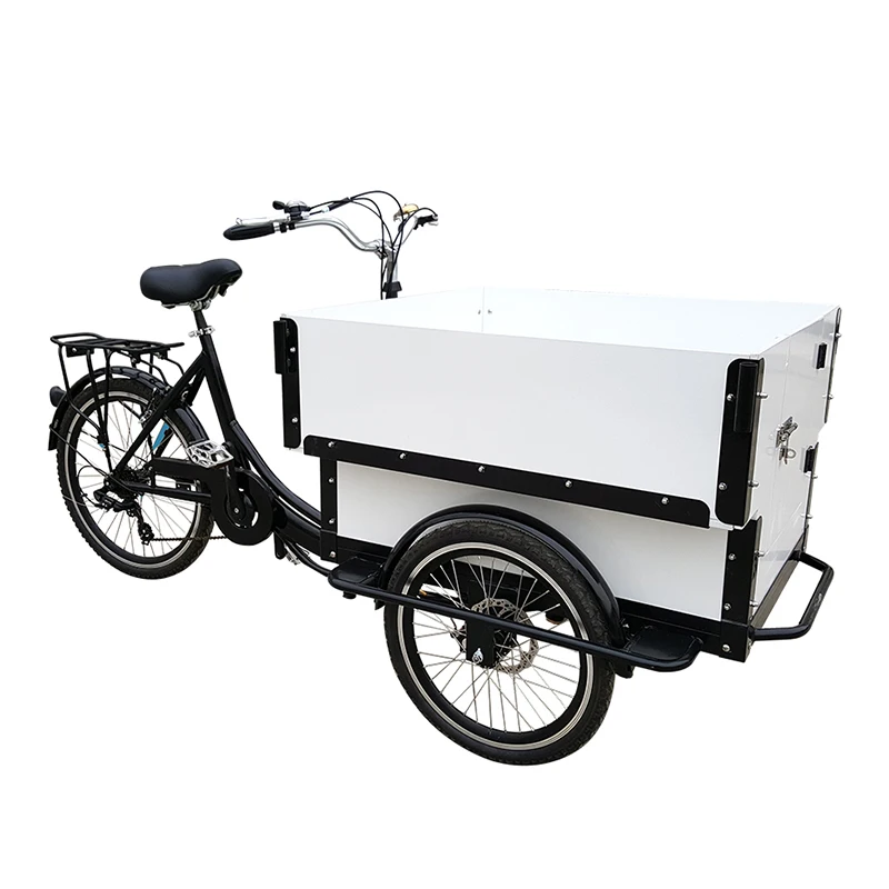 

2018 New OEM Pedal Assisted Electric Cargo Urban Bike For Family, Customized