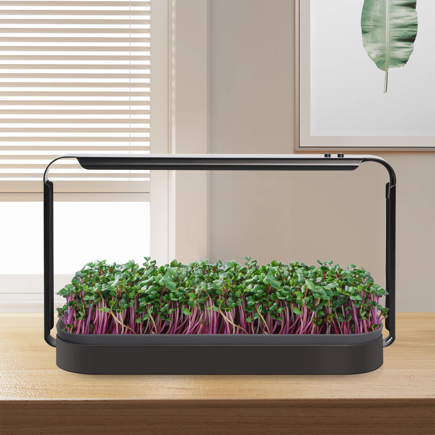 Eco-Friendly Indoor Herb & Microgreen Hydroponic Smart Garden Starter Kit with Automatic Growing for Home Use